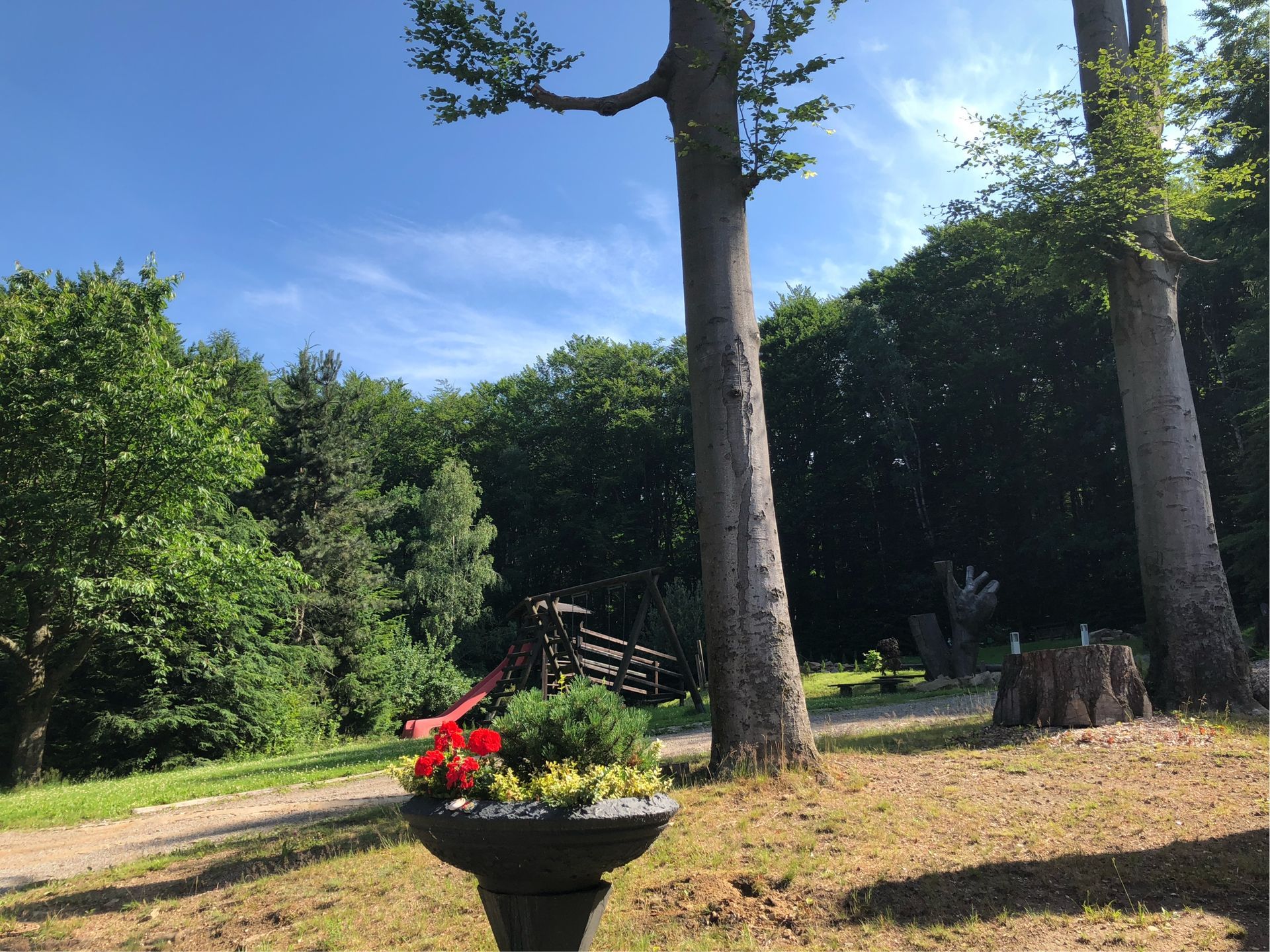Großer Gartenbereich mit alten Bäumen und Blumenarrangement