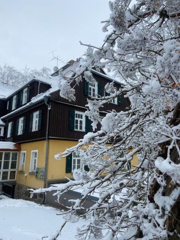 Winterliche Außenansicht des Hauses mit schneebedeckten Bäumen