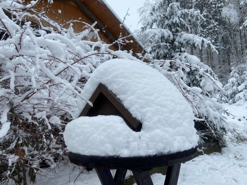Vogelhaus im Winter mit verschneiter Landschaft
