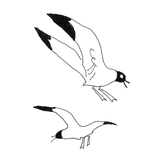 Un dessin en noir et blanc de deux mouettes volant dans les airs