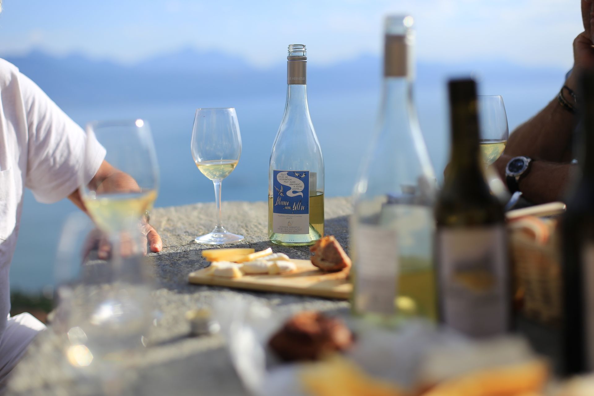 Cépages, chasselas, plant robert, viognier, mondeuse, altesse, chardonnay, pinot noir, gamay, assemblage, Domaine Mermetus