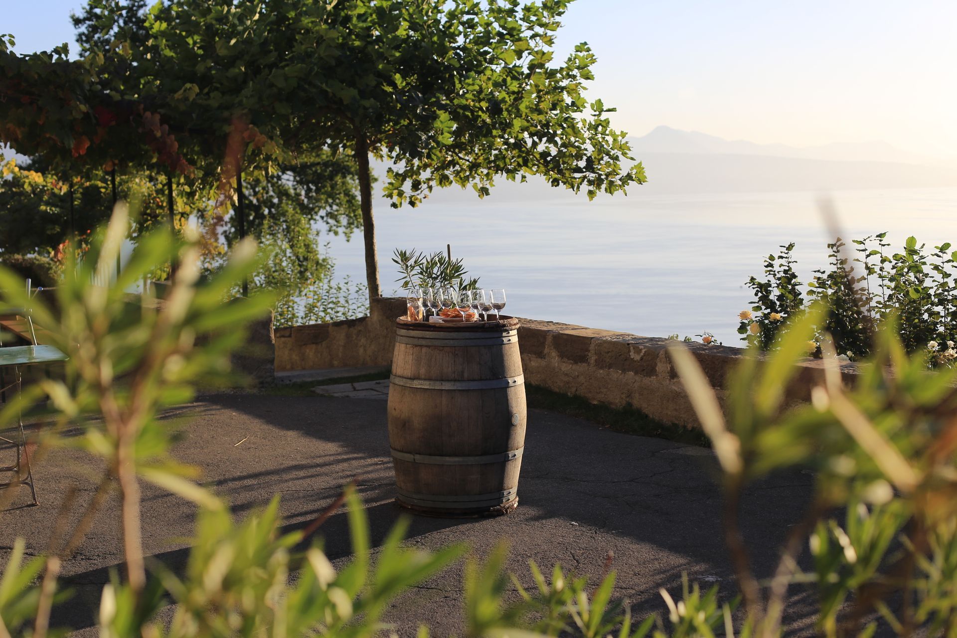 Domaine Mermetus: Vinification, sans sulfites, vin nature, vin naturel, petnat, vin pétillant naturel, sans filtration