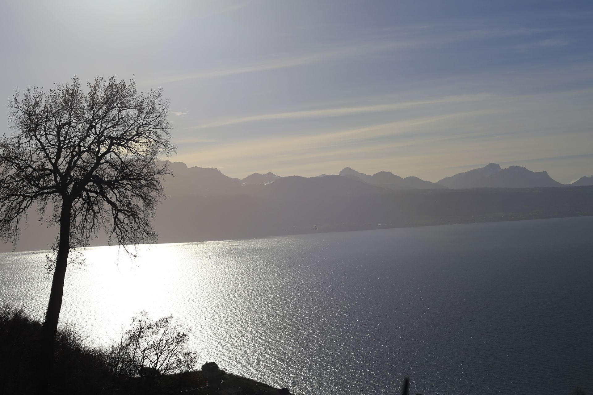 Domaine Mermetus au coeur du Lavaux: Viticulture biologique
