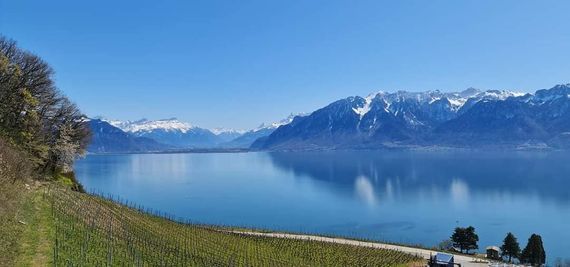 Domaine des Rueyres - vin