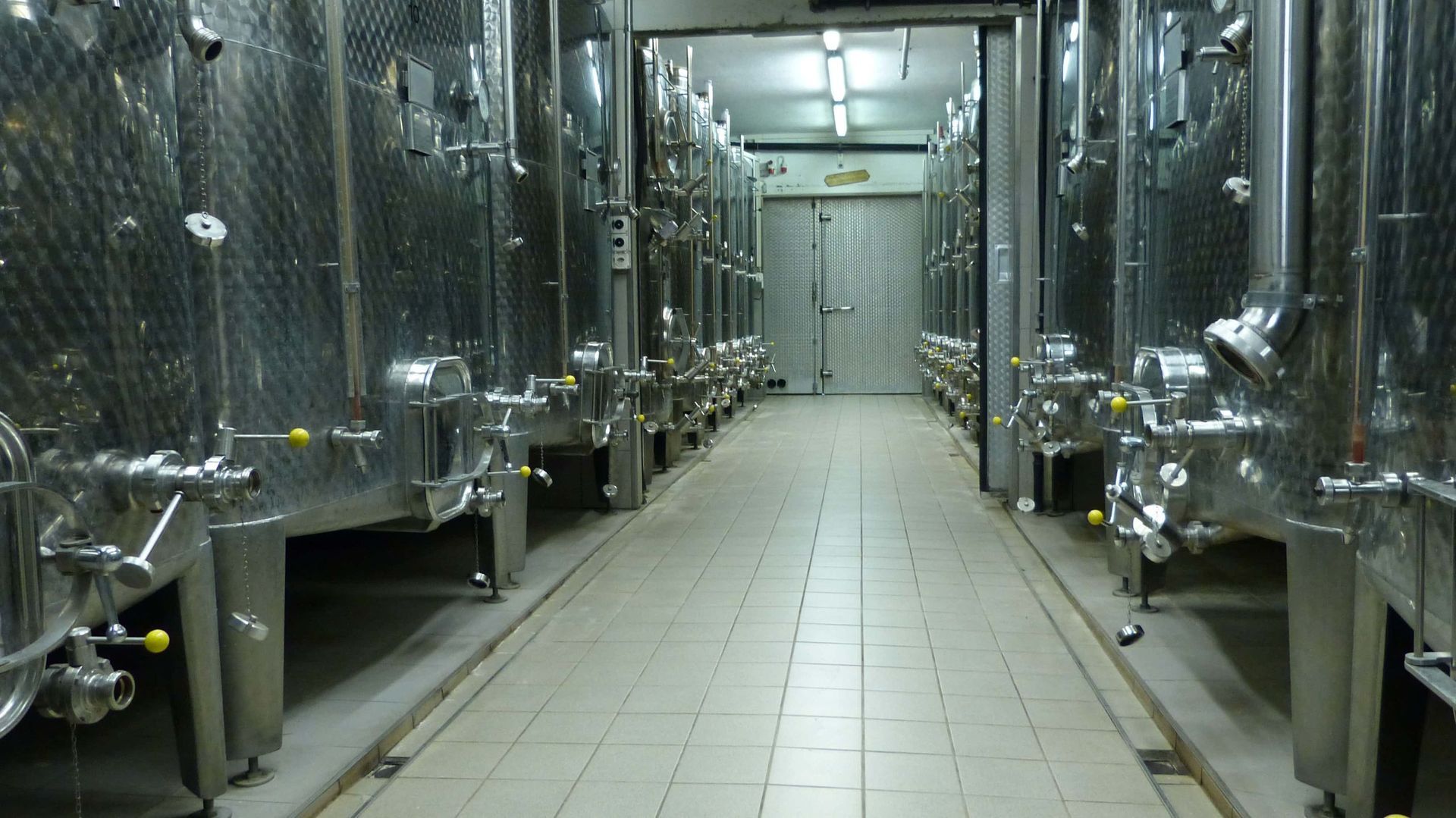 Domaine des Rueyres - vigneron