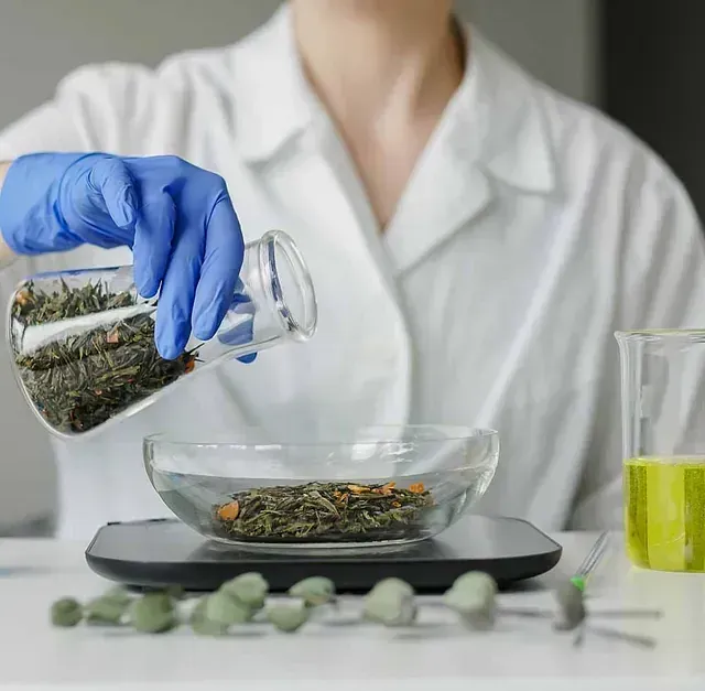 Persona mezclando hierbas aromáticas