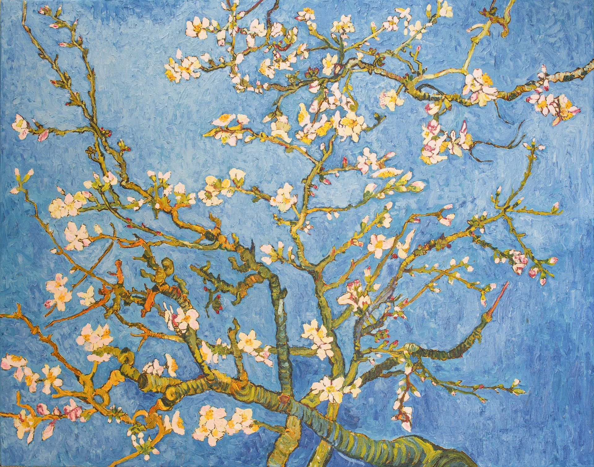 Un arbre fleuri avec un ciel bleu.