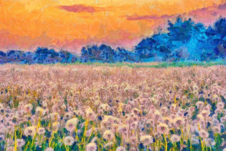 Un paysage avec des fleurs et un coucher de soleil.