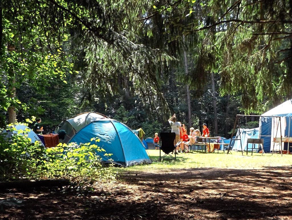 Zelte auf Waldlichtung