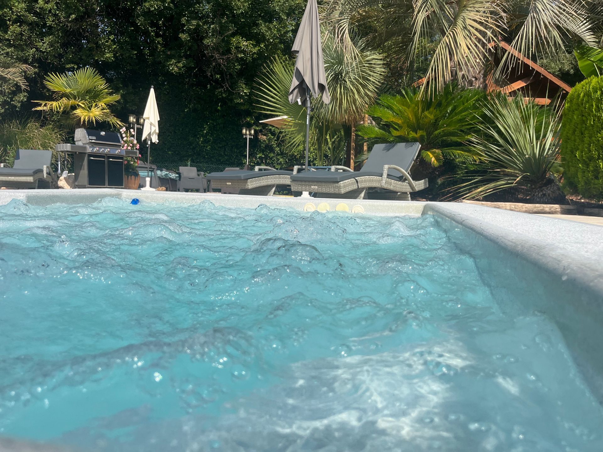 Piscine avec chaises longues et végétation en arrière-plan.