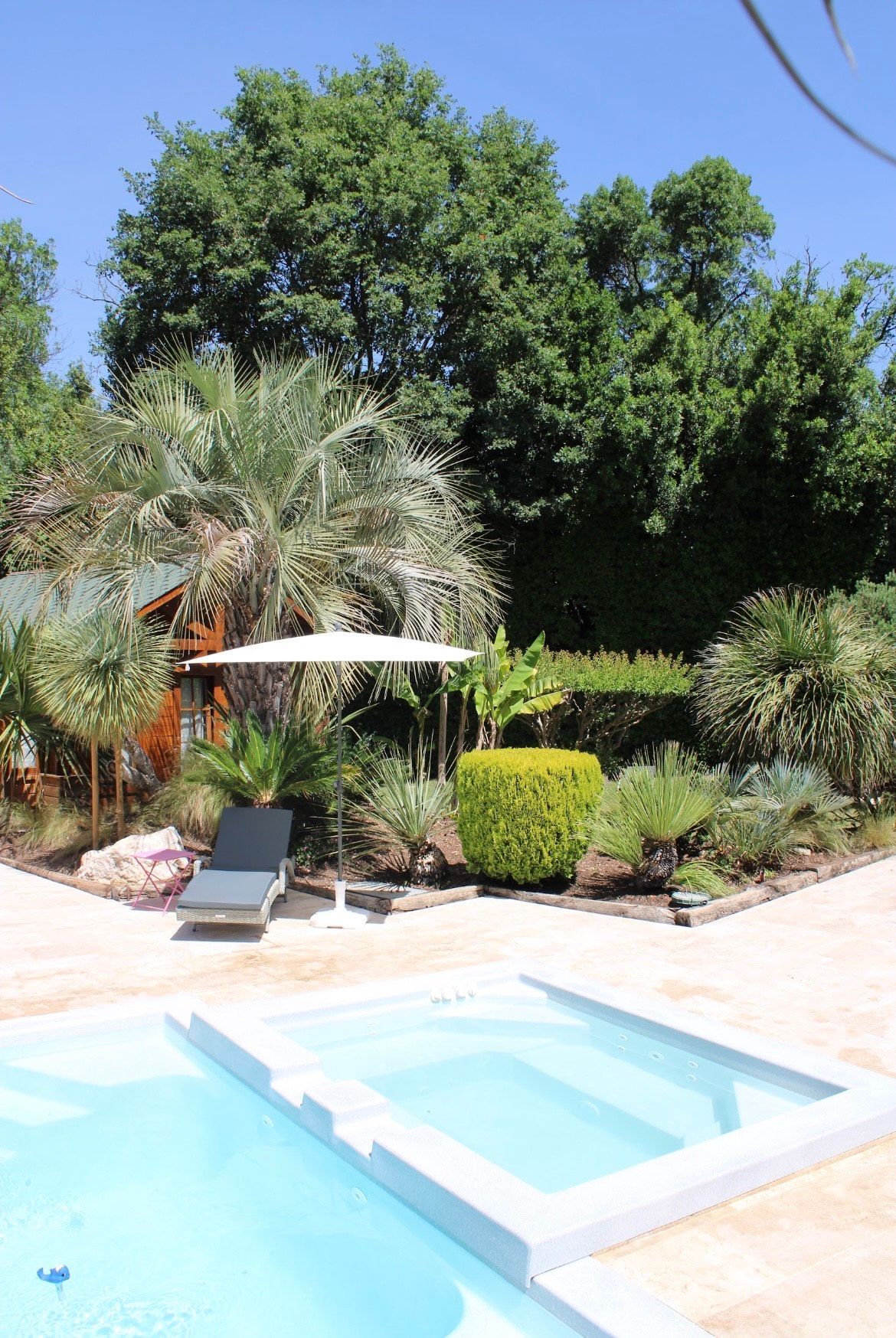 Piscine avec transat, entourée de plantes et d'arbres tropicaux.