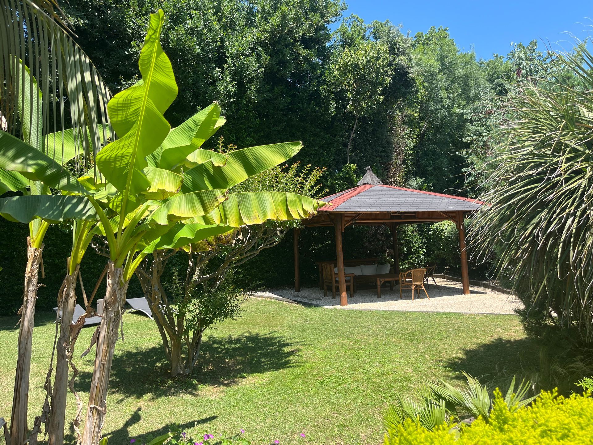 Gazebo dans un jardin ensoleillé, avec un bananier devant.