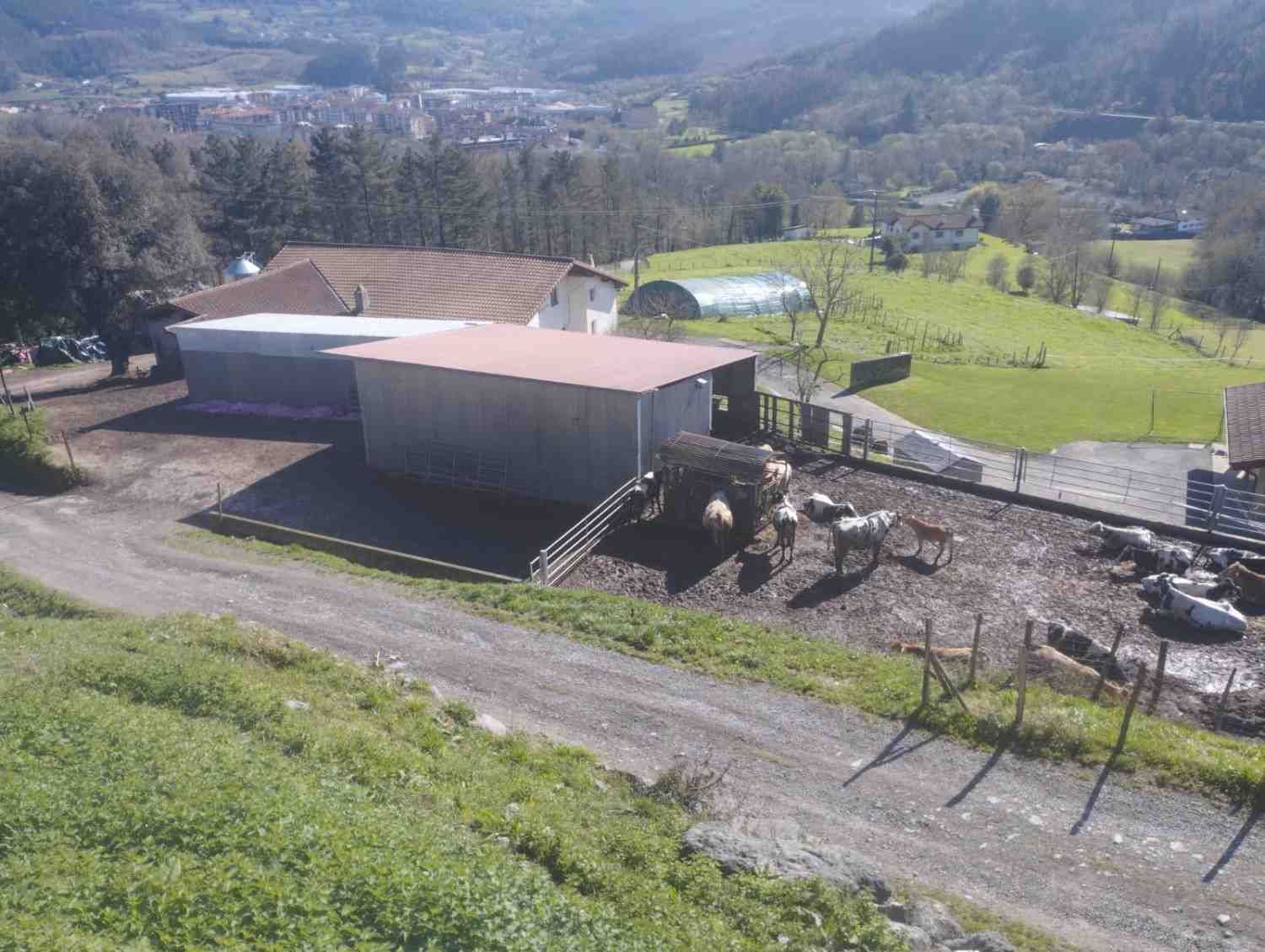 Dos tractores verdes y un niño