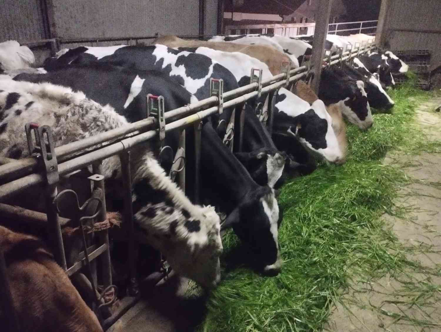 Un valle bañado por el sol