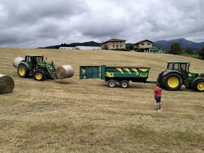 Tres vacas pálidas pastando en un campo montañoso cubierto de hierba, con una granja al fondo bajo un cielo nublado.