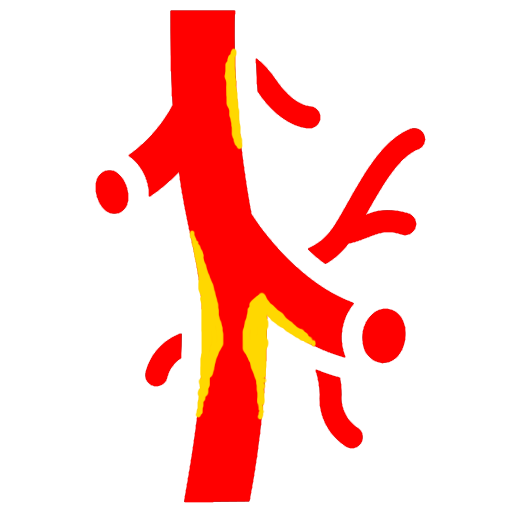 Gefässe im Zentrum
