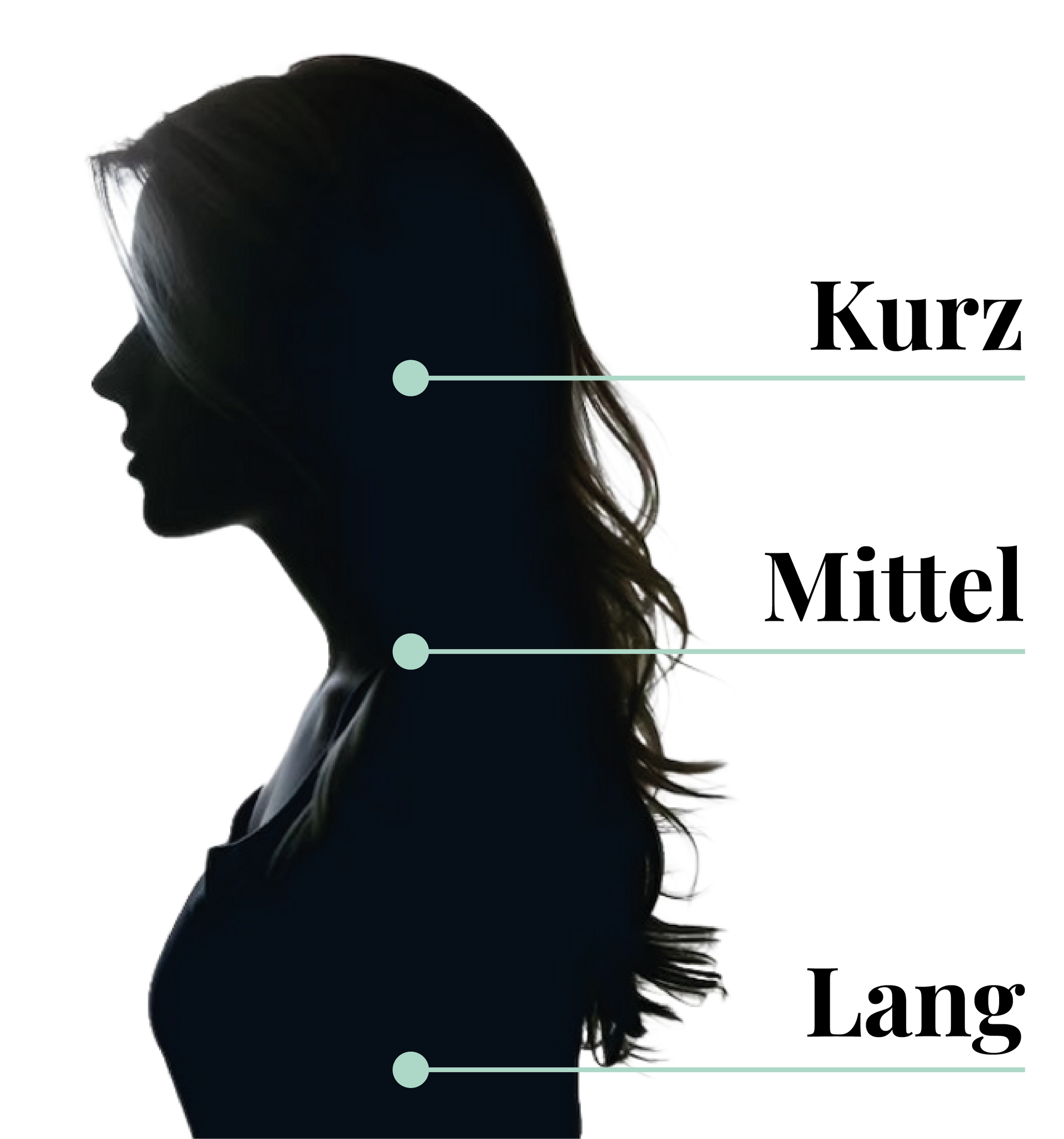 Die Silhouette einer Frau mit langem Haar und ein Diagramm, das die Länge ihres Haares zeigt.