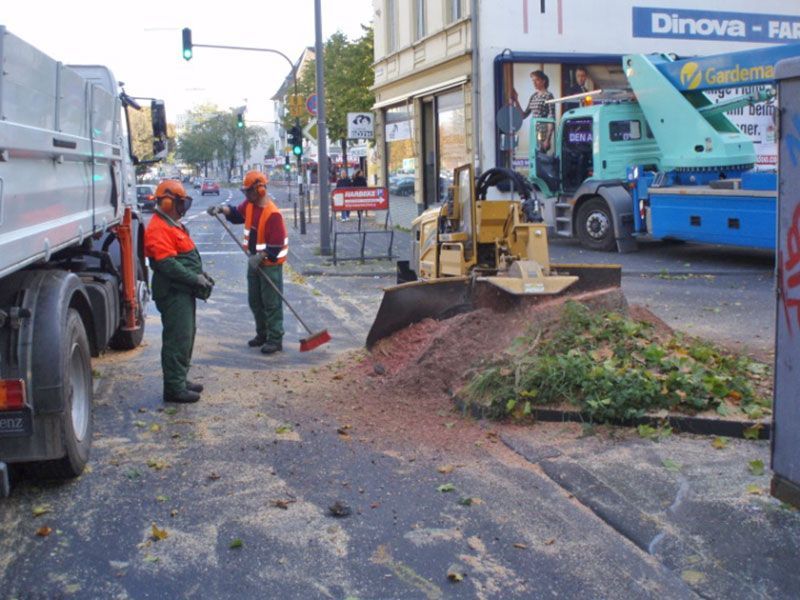 Baumpflege Mönchengladbach
