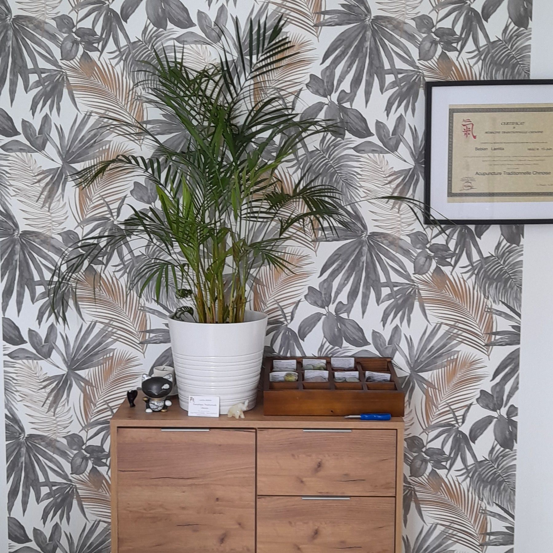 Un palmier en pot posé sur une armoire en bois, à côté d'un certificat encadré sur un papier peint à motifs.