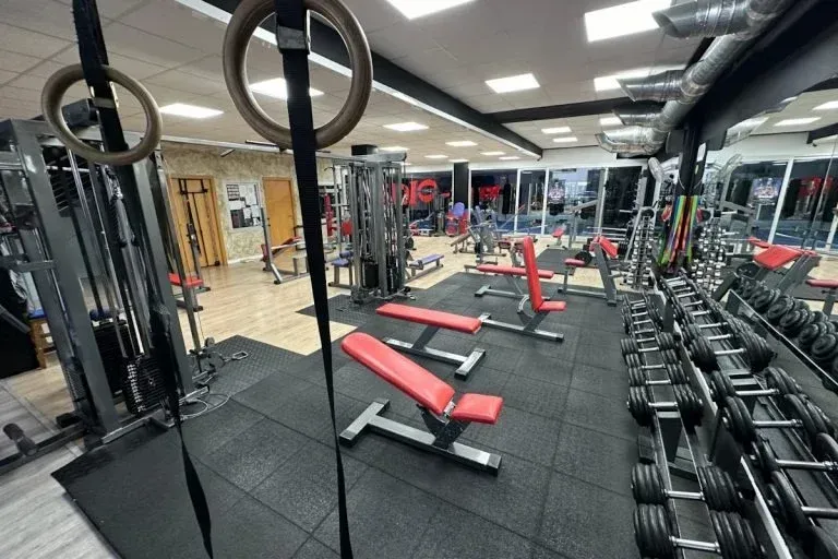 Interior de gimnasio moderno con mancuernas, bancos, máquinas de poleas y luces de techo.