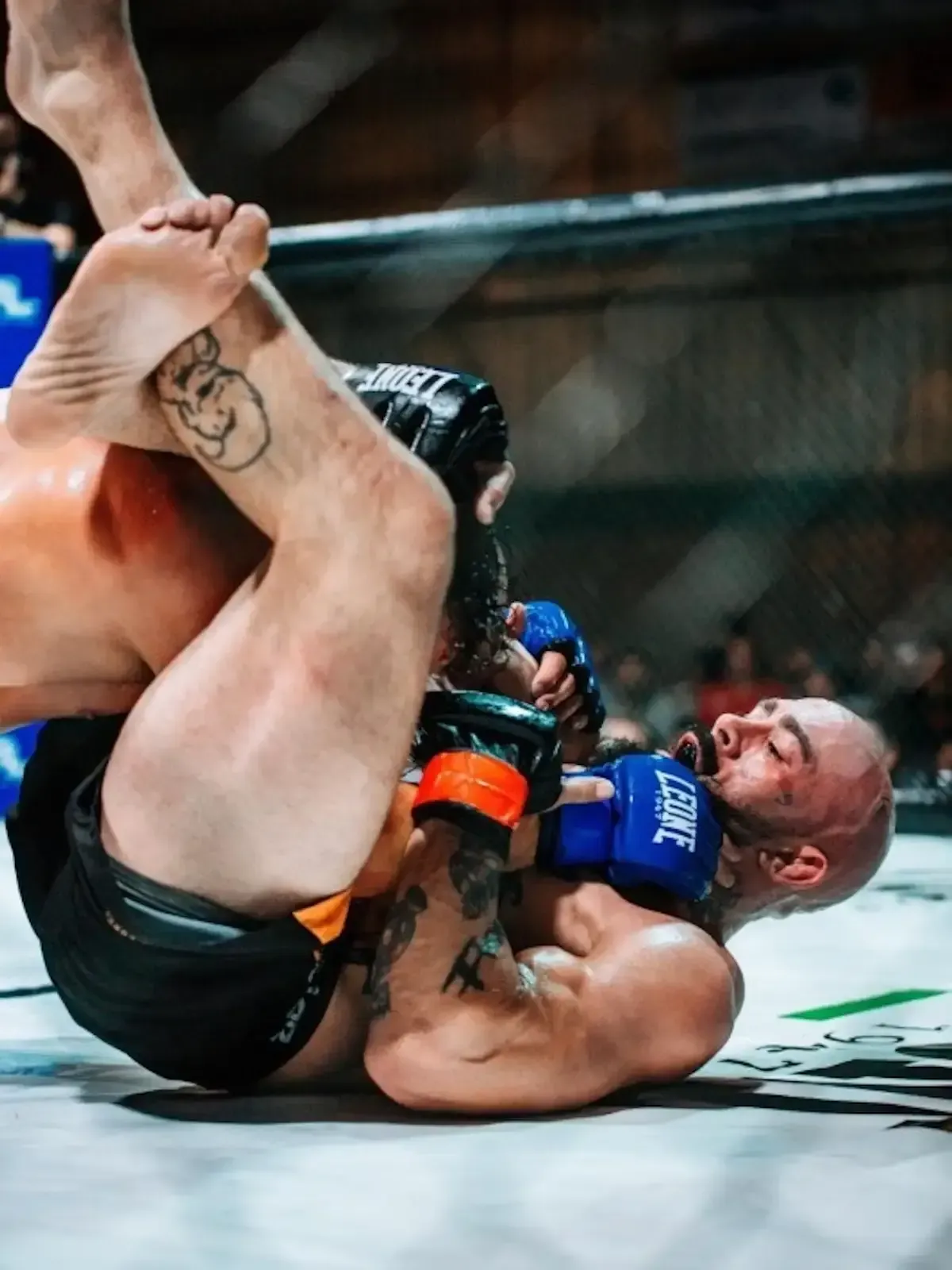 Dos luchadores de MMA forcejeando en la lona