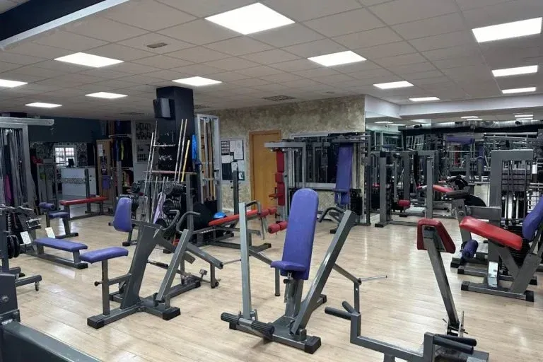Gimnasio vacío con máquinas de pesas y bancos bajo luces brillantes del techo.