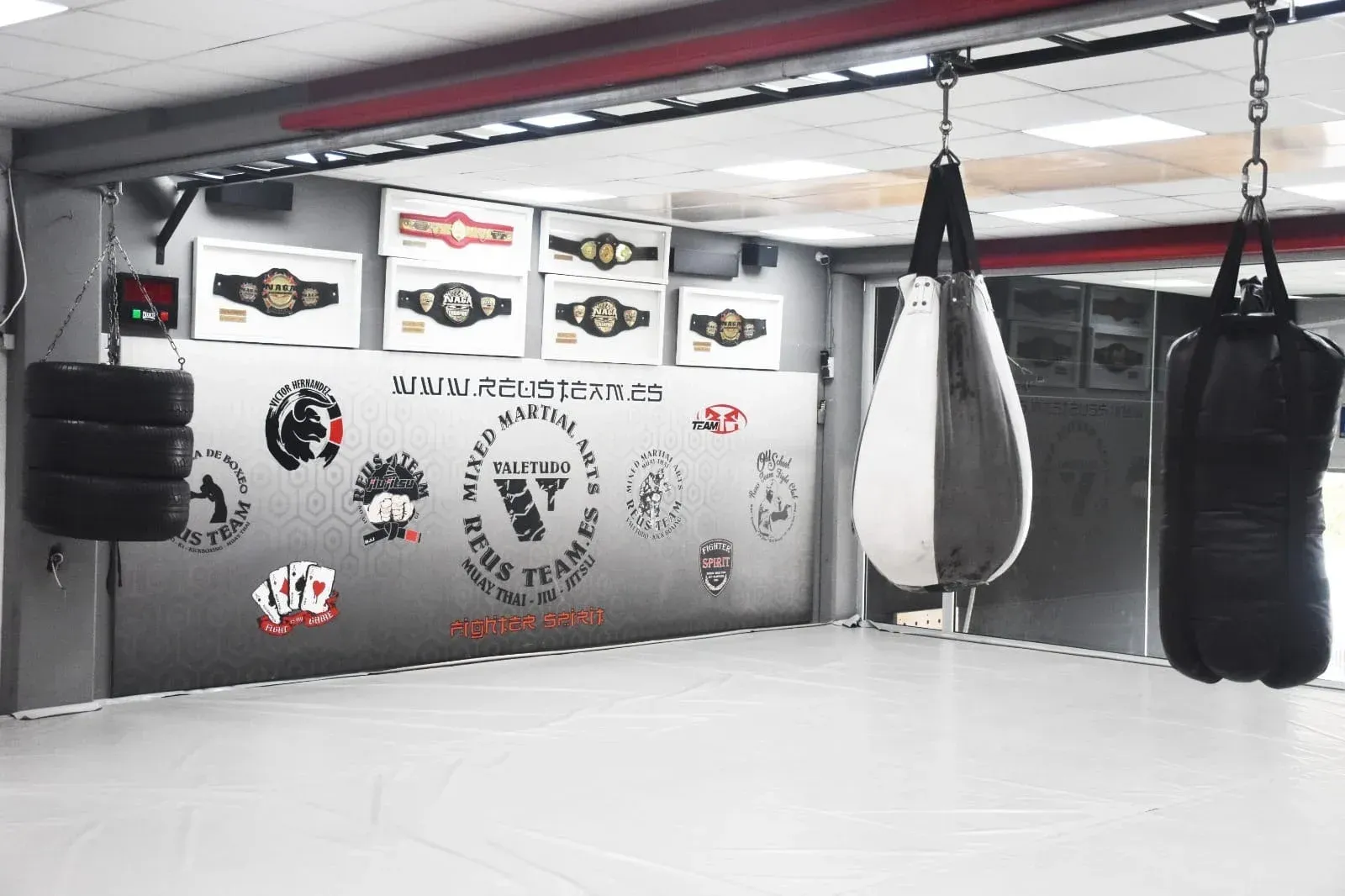 Gimnasio de boxeo vacío con sacos de boxeo colgados, logotipos en las paredes y un suelo de estera blanca.