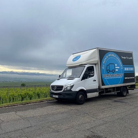 Camion de livraison blanc sur une route longeant un vignoble sous un ciel nuageux.