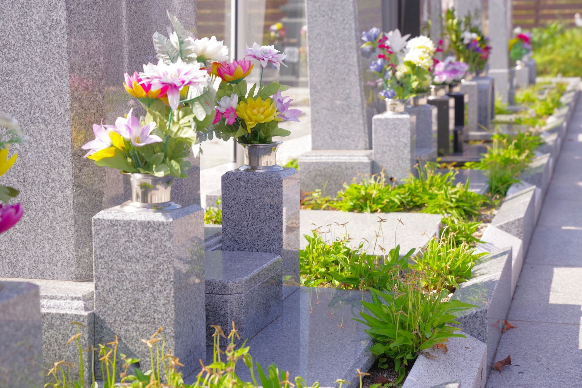 Des pierres tombales dans un cimetière, chacune ornée d'un vase rempli de fleurs colorées. Des plantes vertes poussent en bordure basse.