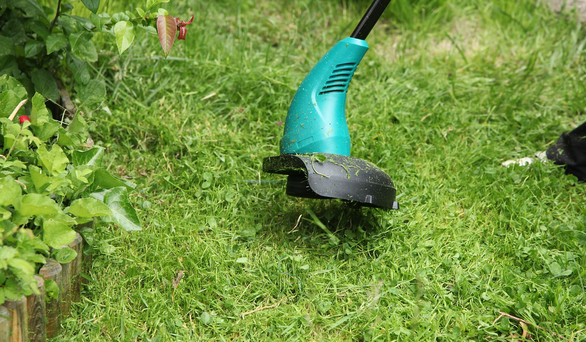 Une débroussailleuse verte et noire coupe l'herbe dans un jardin.