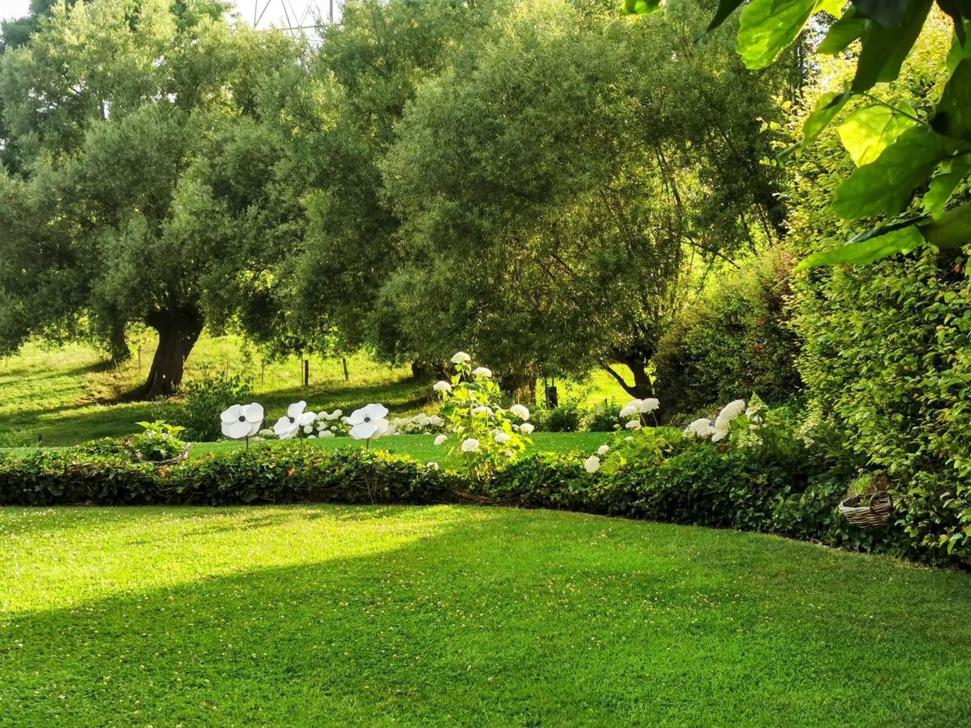 Pelouse verdoyante et luxuriante, parterre de fleurs et arbres en arrière-plan. La lumière du soleil filtre à travers le feuillage.
