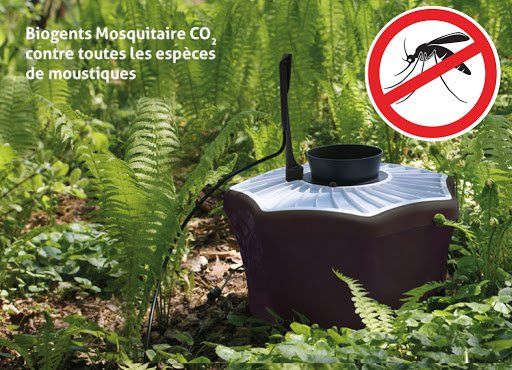 Bouteille de 10kg CO2 pour piège anti-moustiques