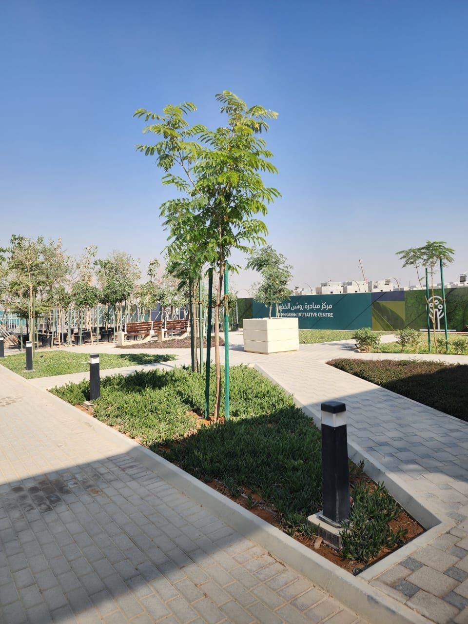 Garden hard and landscape design