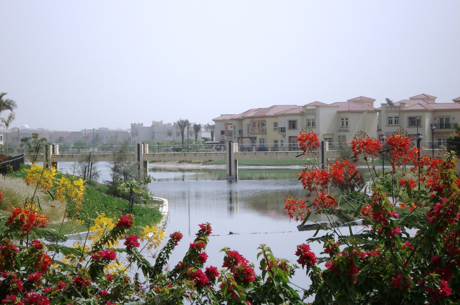 Residential landscape design with greenery