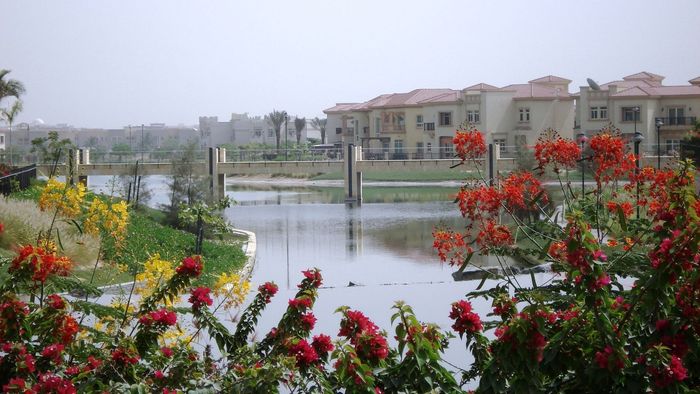 Beautiful residential landscape design with greenery