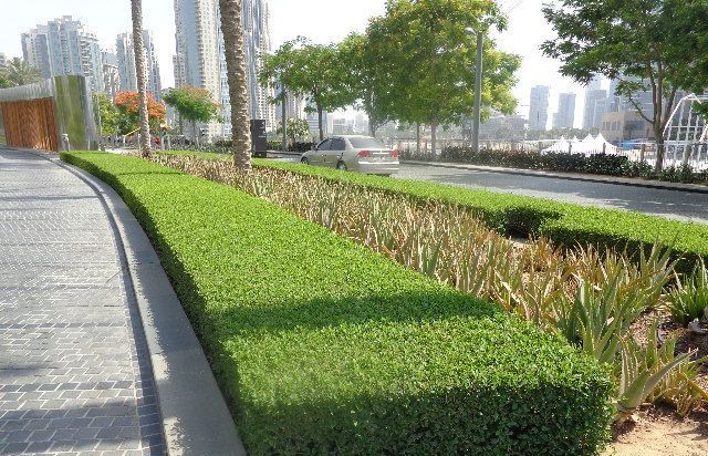 Modern garden with stone pathways and lighting