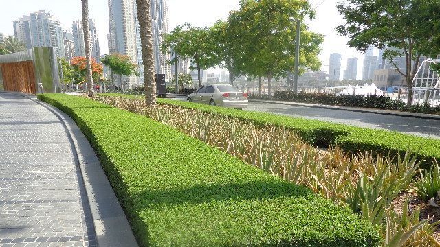 Modern garden with stone pathways and lighting