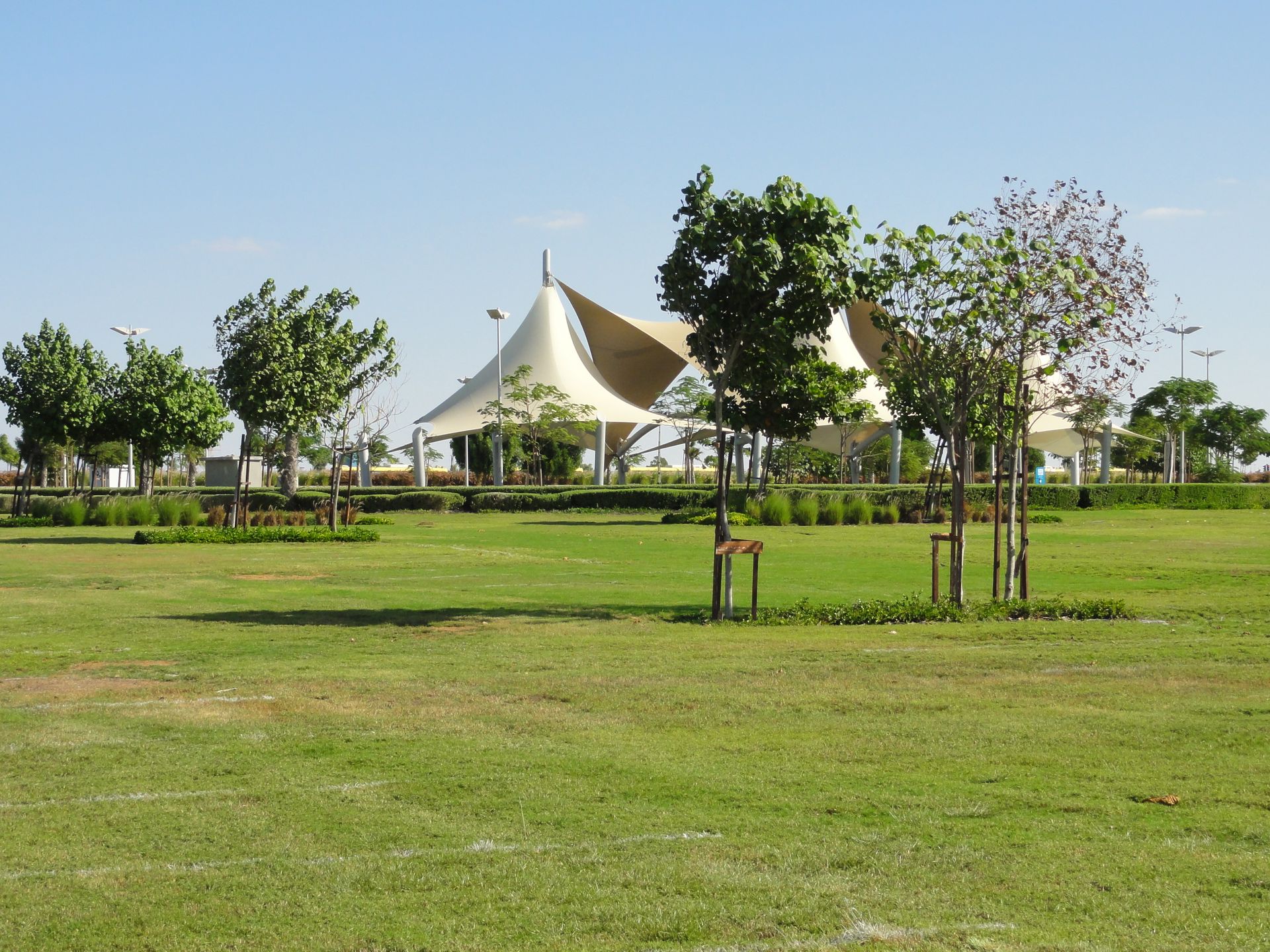 Beautiful garden landscape design with greenery