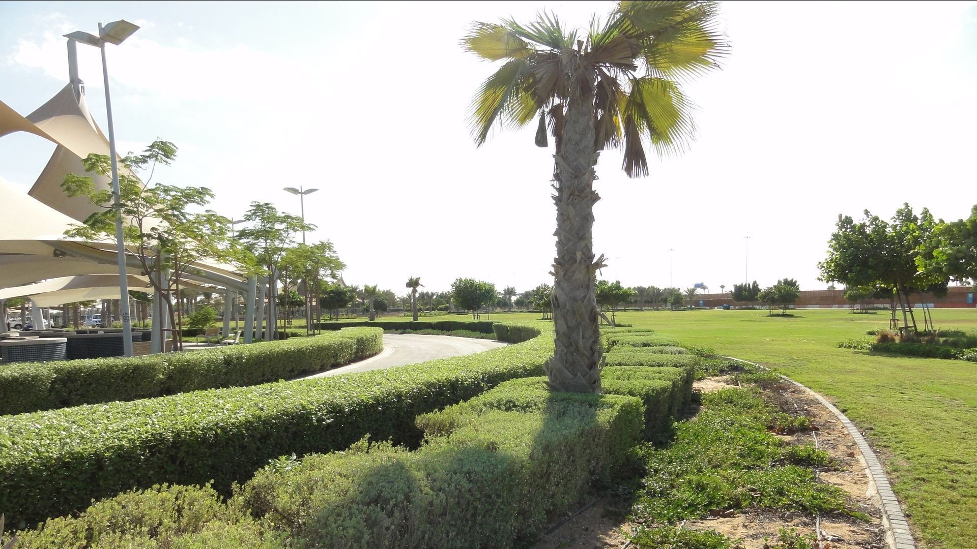 Street landscape and irrigation system