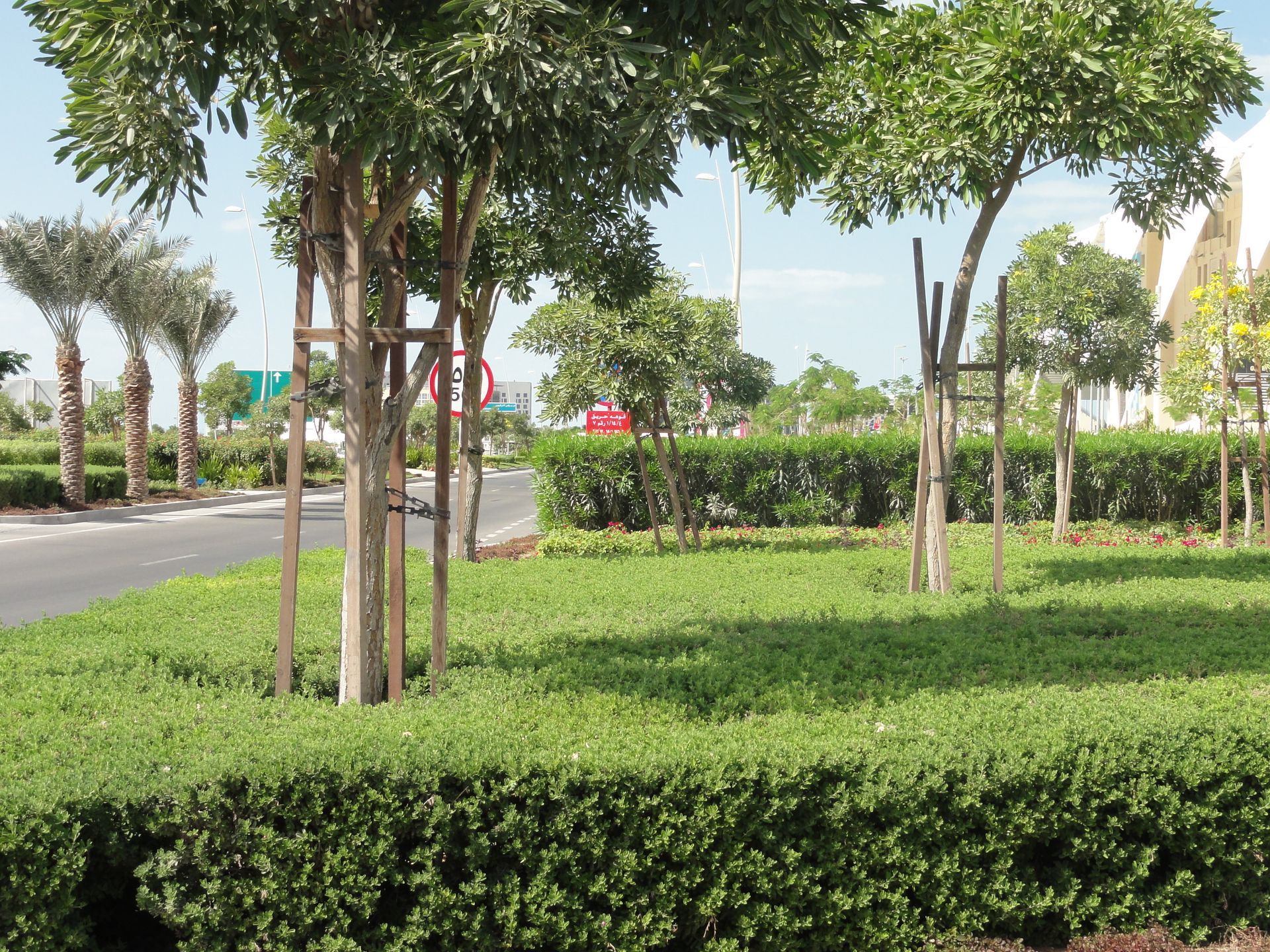 Srtreet landscape design with greenery