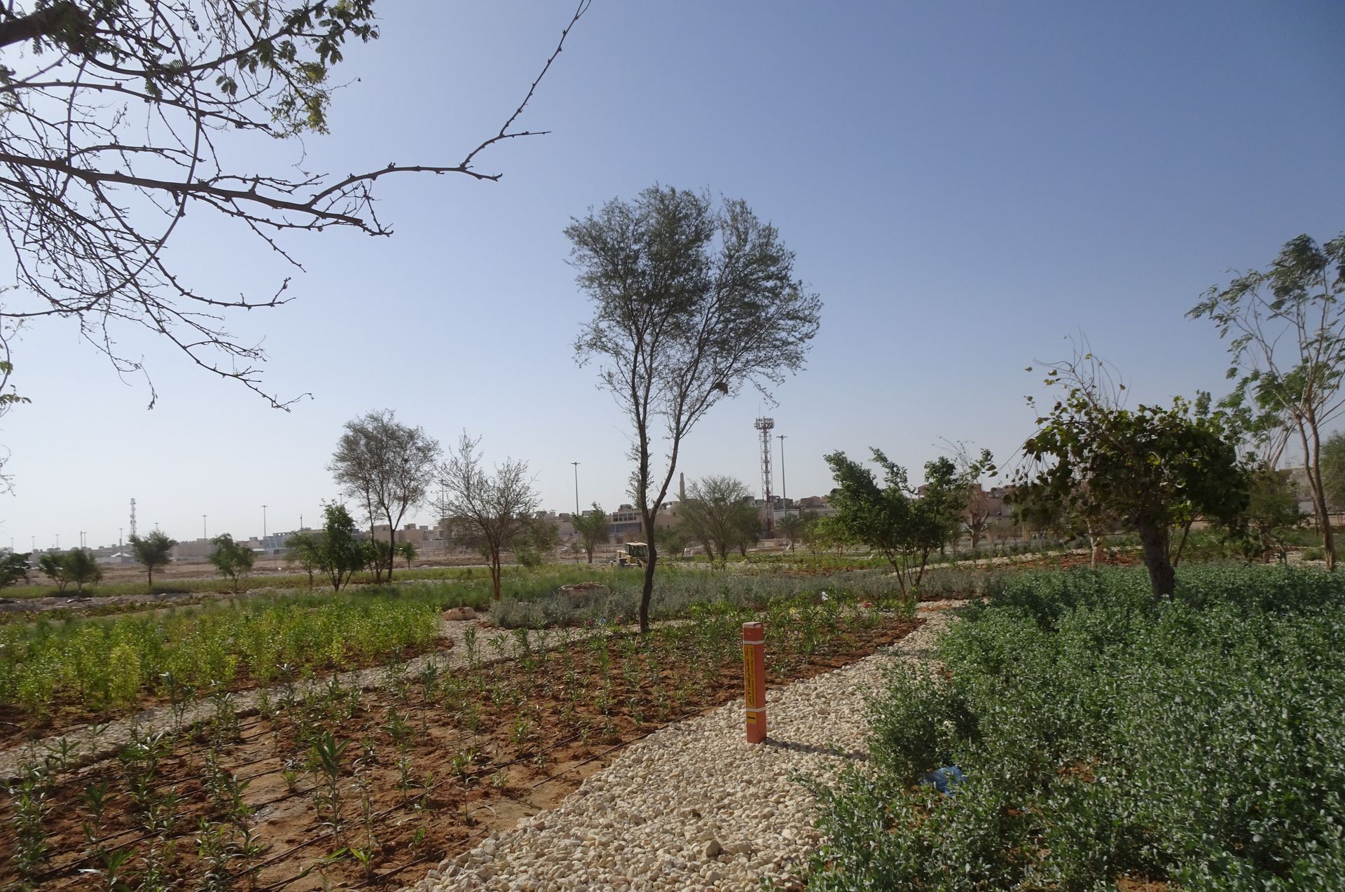 Efficient irrigation system for commercial landscape