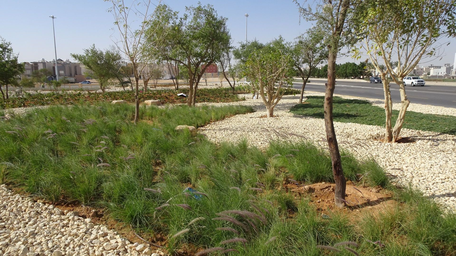 Street landscape and irrigation system
