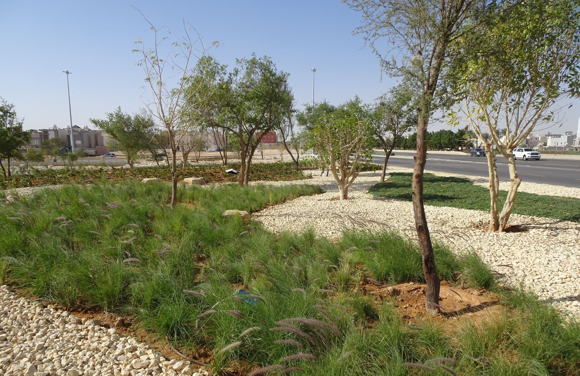 Street landscape design with greenery