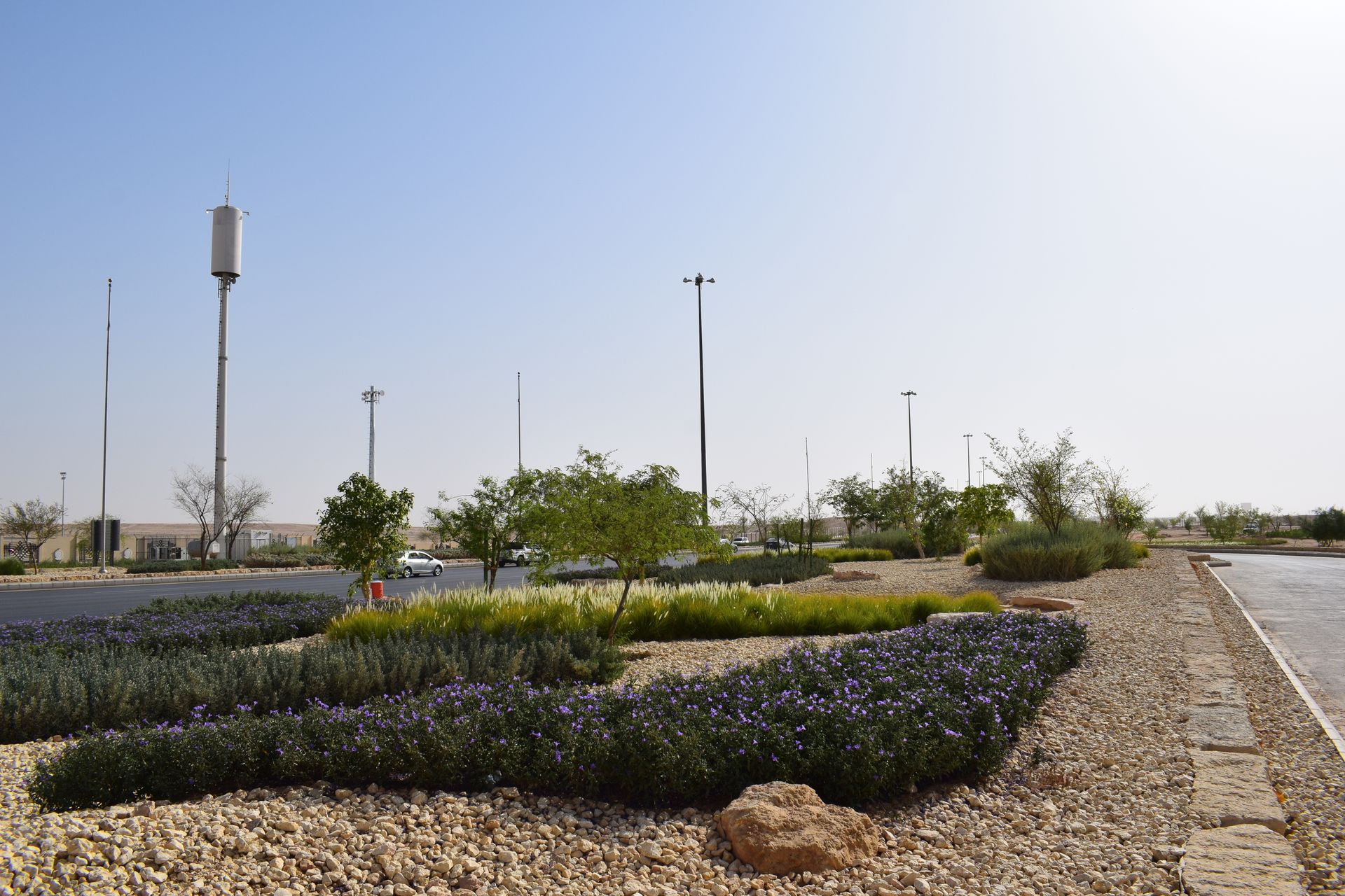 Modern garden with stone pathways and lighting