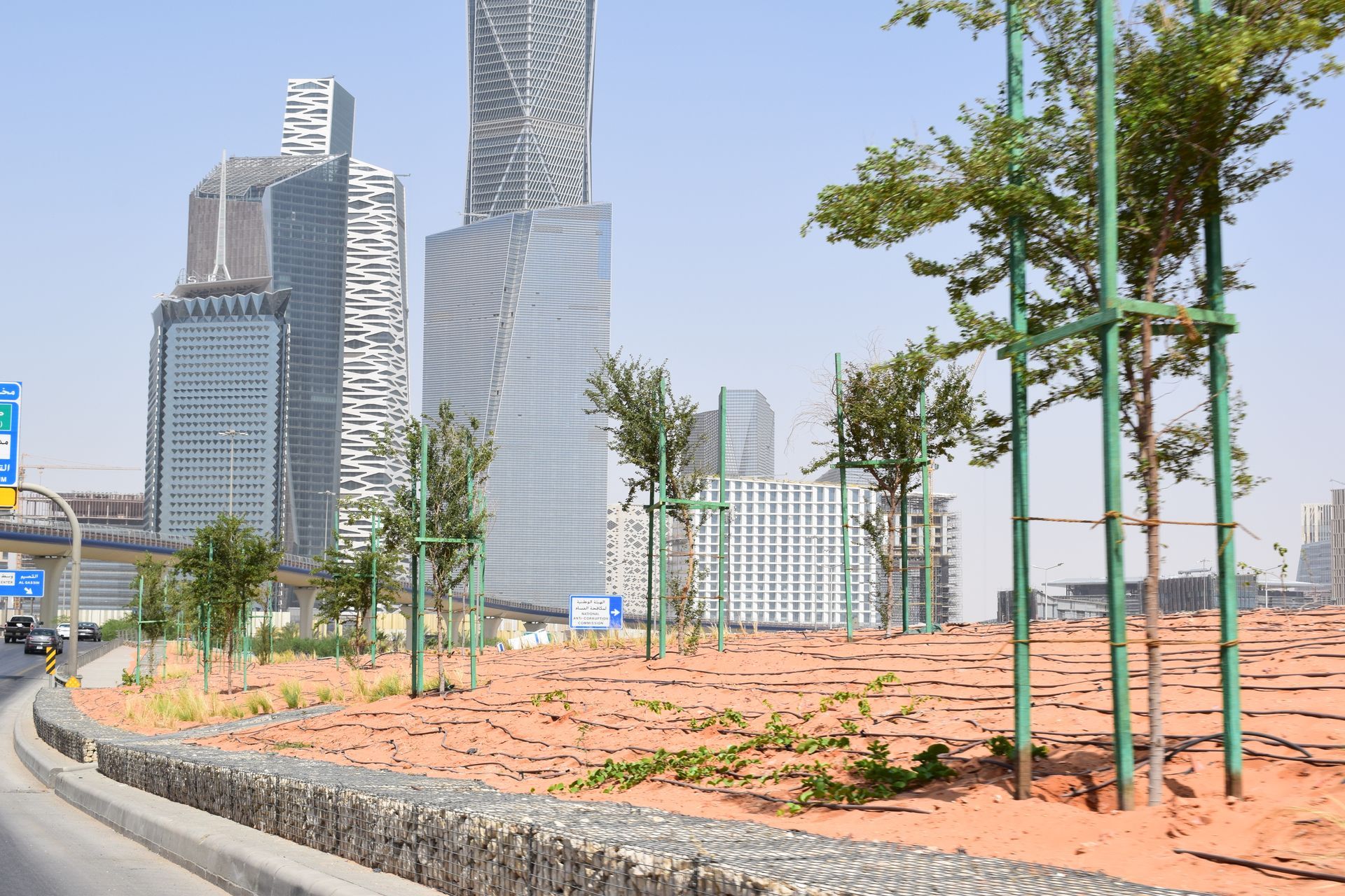 Street landscape and irrigation system