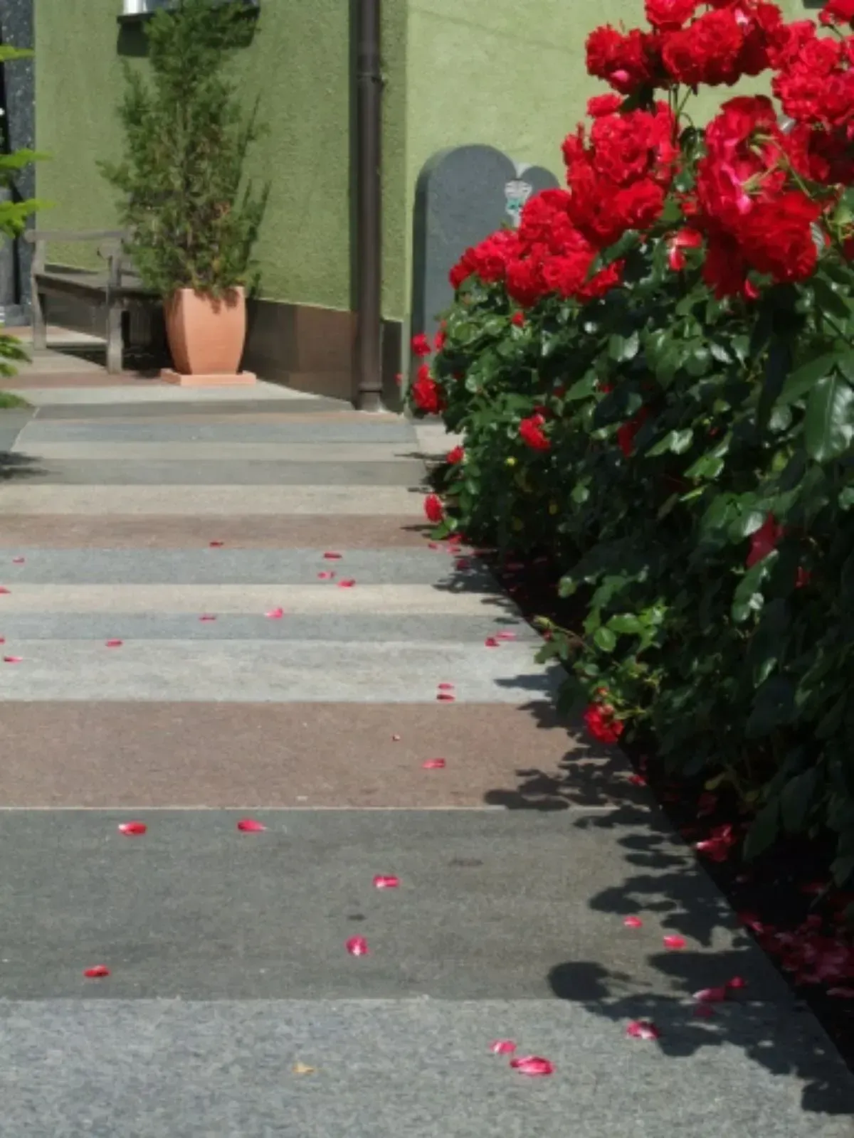 Rusin + Pfannenmüller Grabmale,  Grabstein