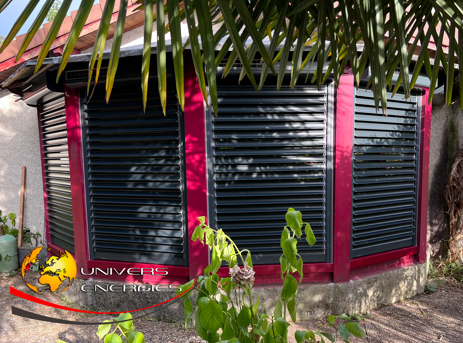 Fenêtre en baie avec volets noirs et encadrement bordeaux, sous un feuillage.