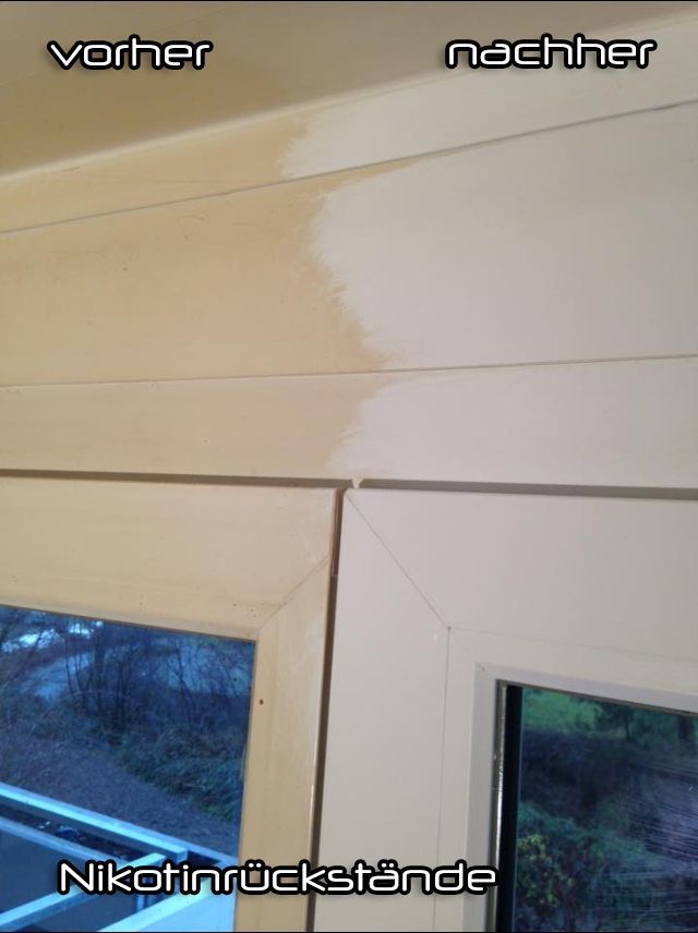 Nikotindepot reinigung - arso Reinigung - Oetwil am See