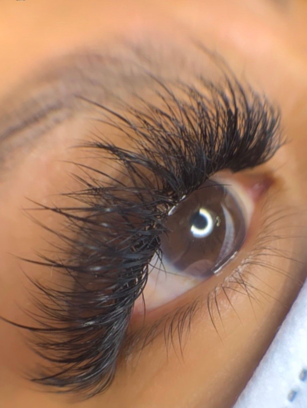 Primer plano de un ojo con pestañas postizas largas y tupidas y un iris marrón.