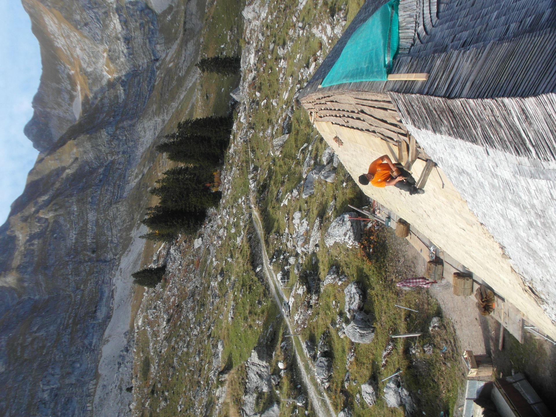 Tavillon Bois - Chateau-d'Oex - Toiture